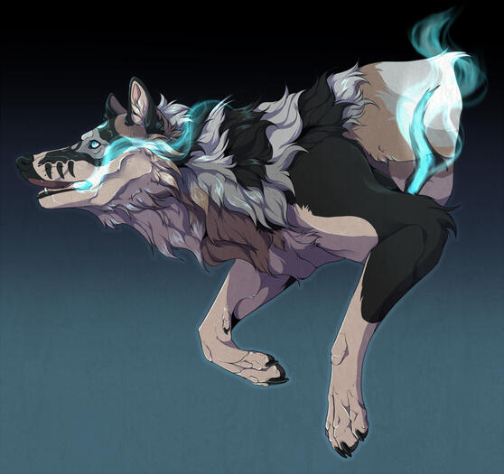 $65- Shaded